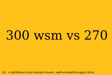 300 wsm vs 270