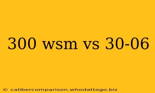 300 wsm vs 30-06