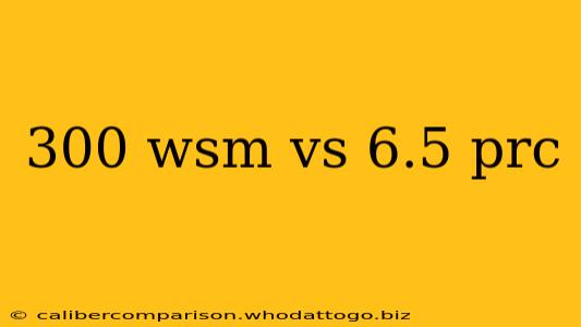 300 wsm vs 6.5 prc