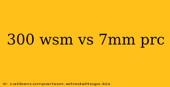 300 wsm vs 7mm prc