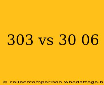 303 vs 30 06