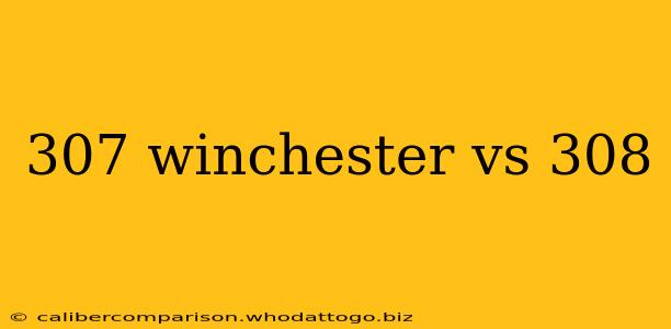 307 winchester vs 308