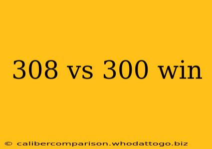 308 vs 300 win