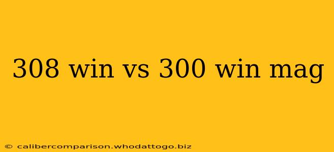 308 win vs 300 win mag