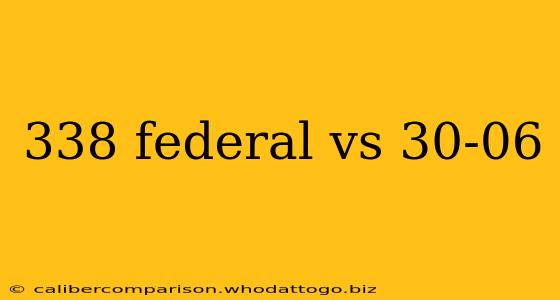 338 federal vs 30-06