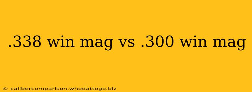 .338 win mag vs .300 win mag