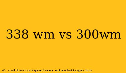 338 wm vs 300wm