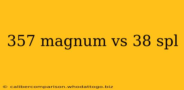 357 magnum vs 38 spl