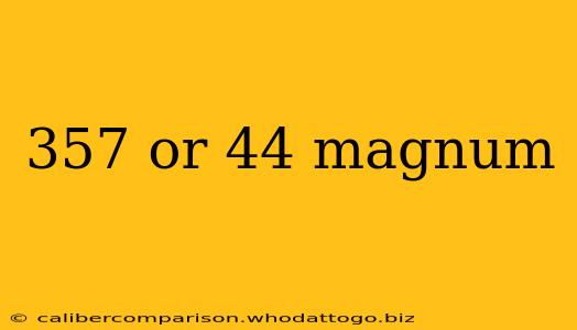 357 or 44 magnum