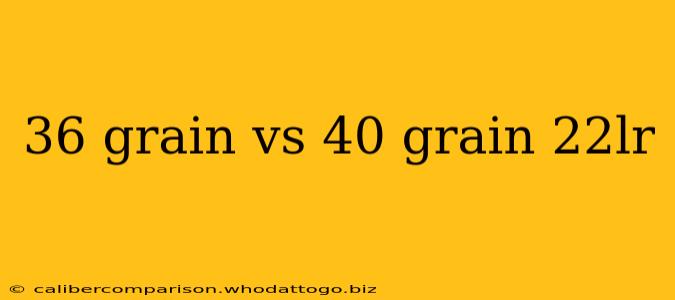 36 grain vs 40 grain 22lr