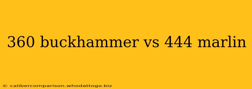 360 buckhammer vs 444 marlin