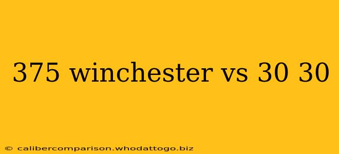 375 winchester vs 30 30