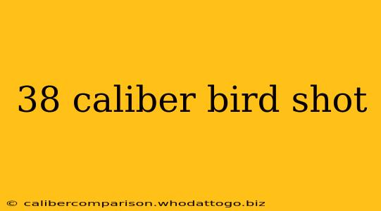 38 caliber bird shot