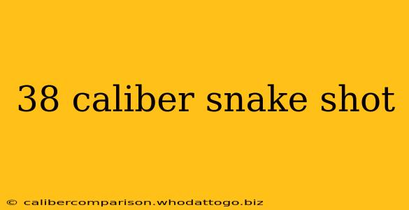 38 caliber snake shot