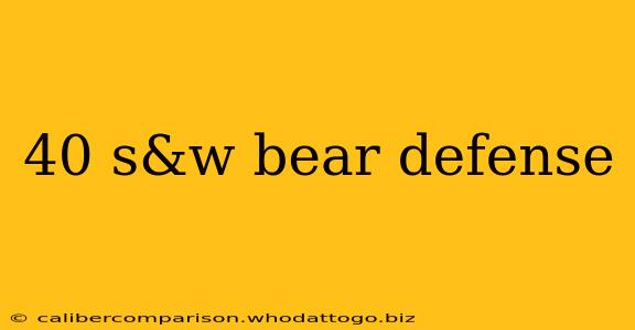 40 s&w bear defense