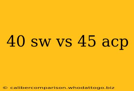 40 sw vs 45 acp