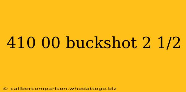 410 00 buckshot 2 1/2