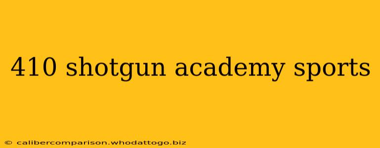 410 shotgun academy sports