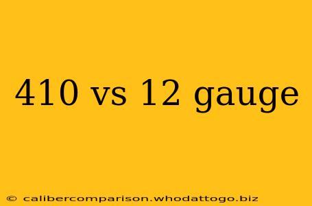 410 vs 12 gauge