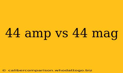 44 amp vs 44 mag