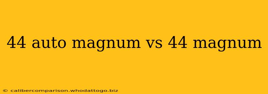 44 auto magnum vs 44 magnum