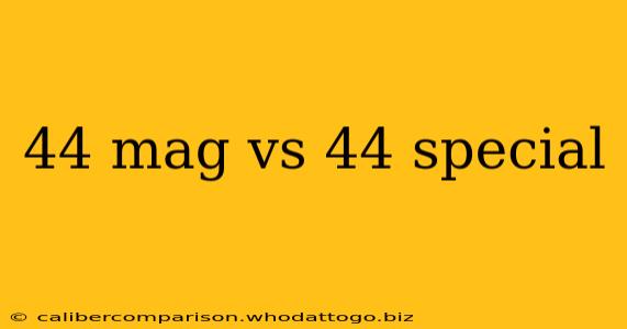 44 mag vs 44 special