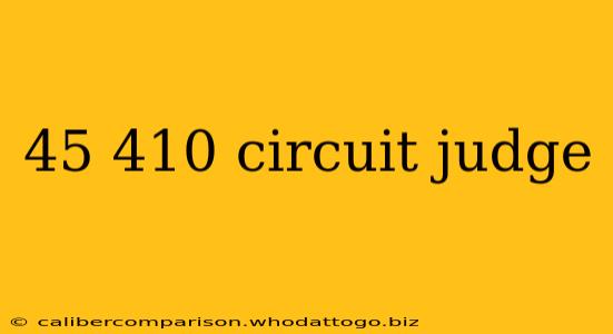 45 410 circuit judge