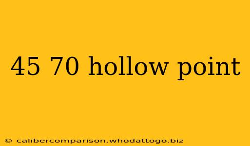 45 70 hollow point