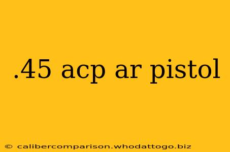 .45 acp ar pistol