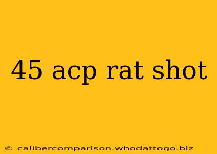 45 acp rat shot