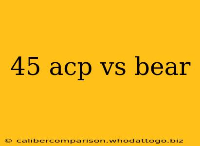 45 acp vs bear