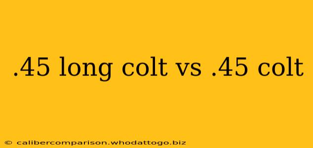 .45 long colt vs .45 colt