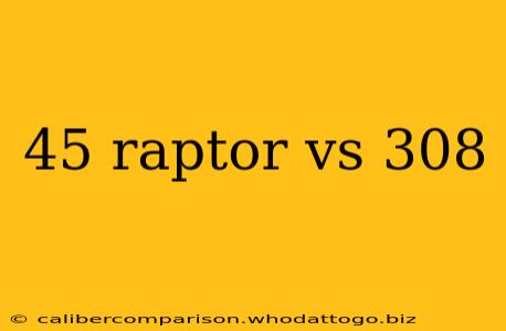 45 raptor vs 308