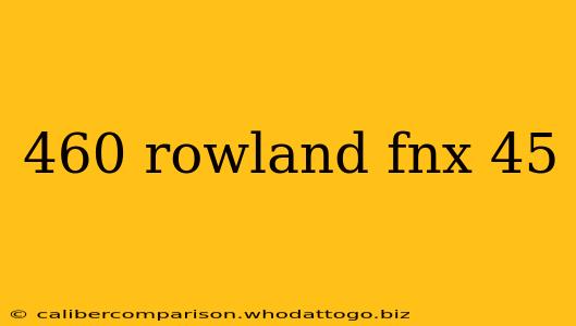 460 rowland fnx 45