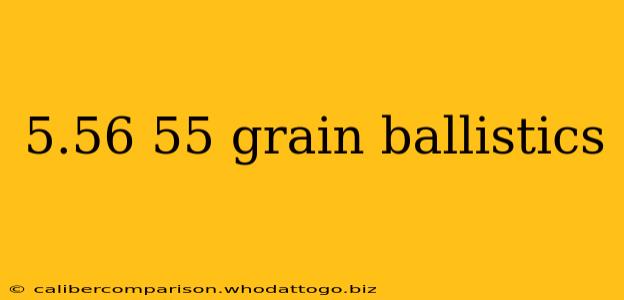 5.56 55 grain ballistics