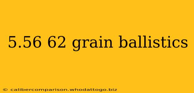 5.56 62 grain ballistics