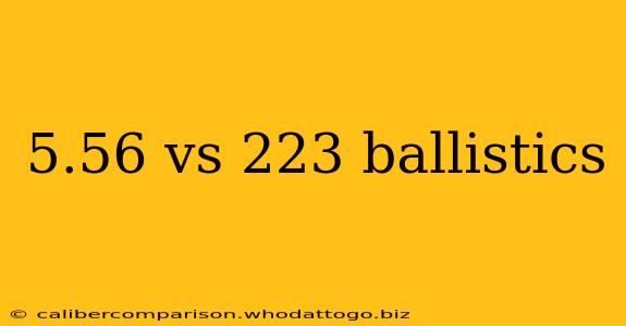 5.56 vs 223 ballistics