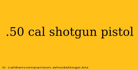 .50 cal shotgun pistol