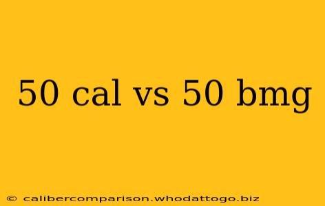 50 cal vs 50 bmg