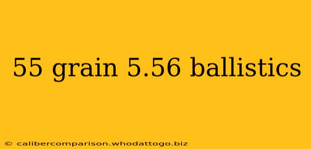 55 grain 5.56 ballistics