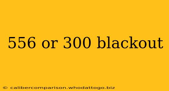 556 or 300 blackout