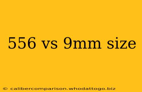 556 vs 9mm size