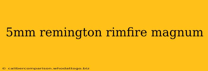 5mm remington rimfire magnum