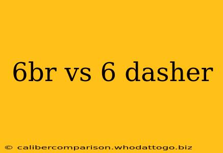 6br vs 6 dasher