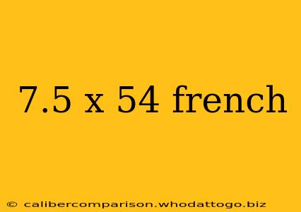 7.5 x 54 french