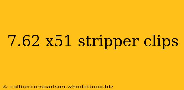 7.62 x51 stripper clips