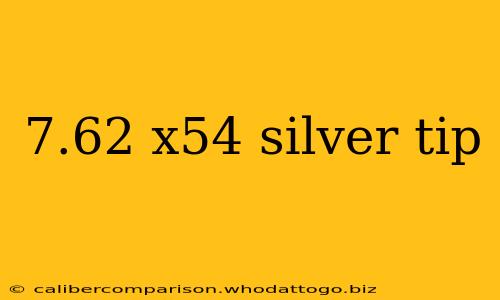 7.62 x54 silver tip