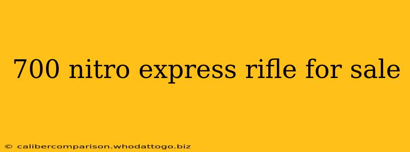 700 nitro express rifle for sale