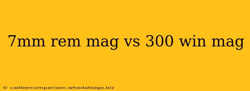 7mm rem mag vs 300 win mag