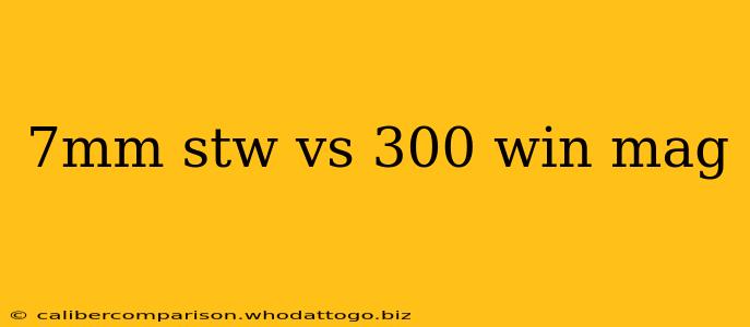 7mm stw vs 300 win mag